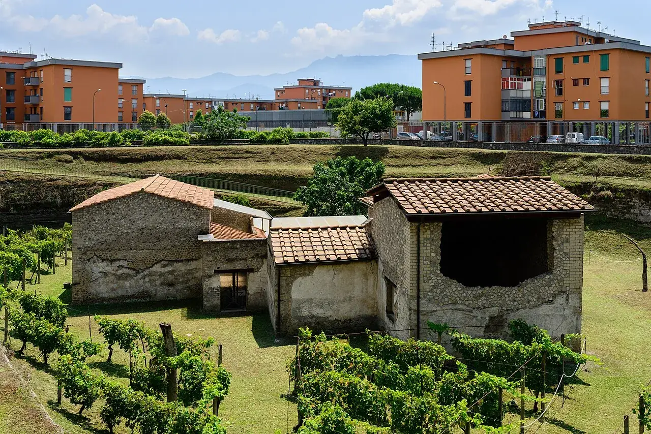 La Villa Regina a Boscoreale